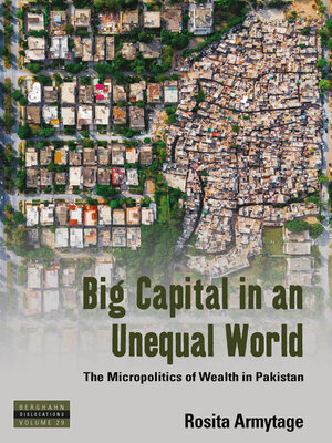cover image of Big Capital in an Unequal World